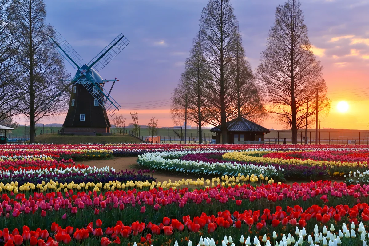 投稿写真：早春の祝福