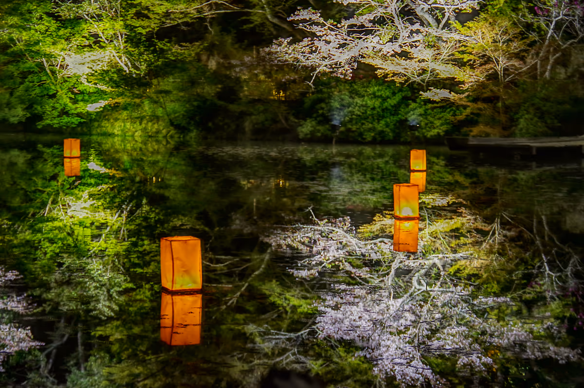 投稿写真：水面と夜桜(HDR撮影)