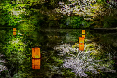  | 絶景事典