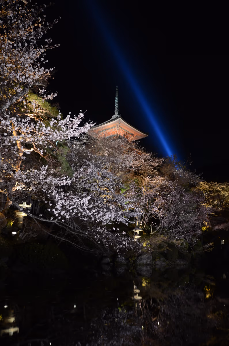 投稿写真：清水寺夜会