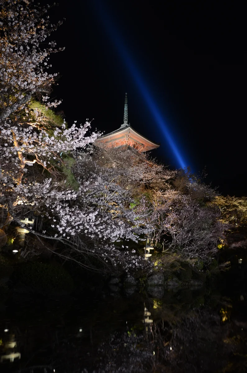 投稿写真：清水寺夜会