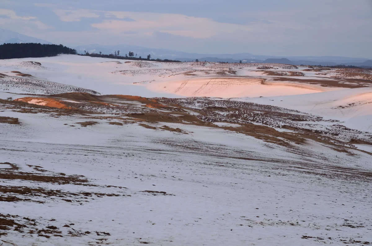 投稿写真：雪の砂丘