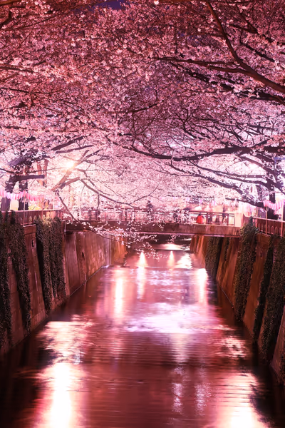 投稿：桜🌸