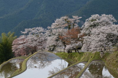  | 絶景事典