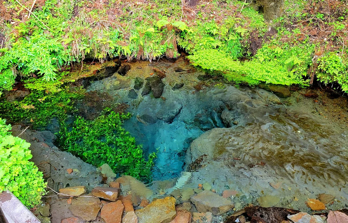 投稿写真：男池