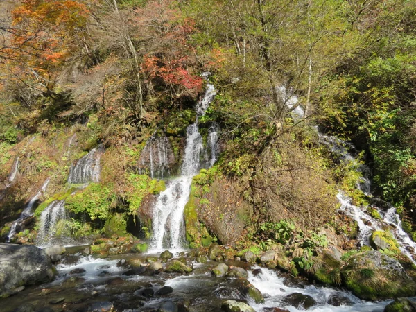 投稿：山梨県　吐竜（どりゅう）の滝