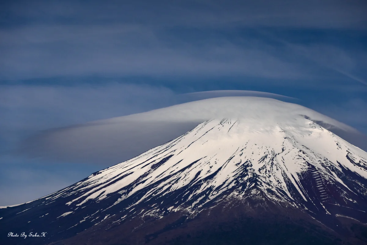投稿写真：花嫁のベール