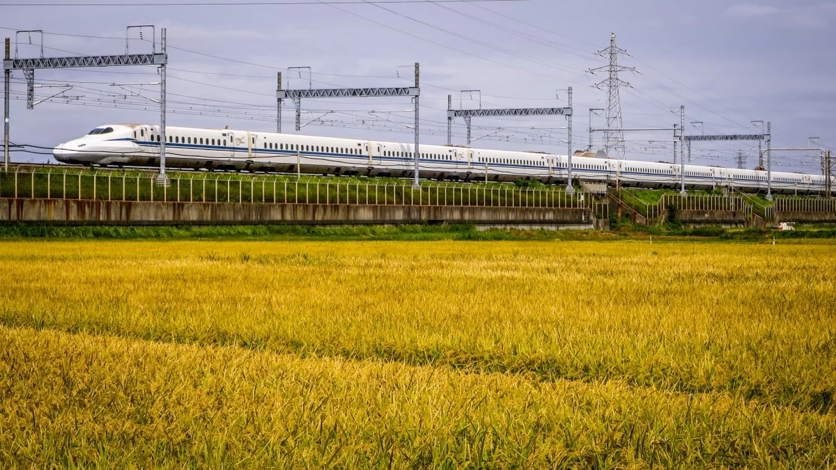 投稿写真：実りの秋の東海道新幹線