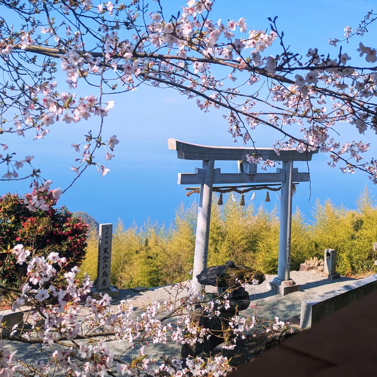 投稿写真：天空の鳥居