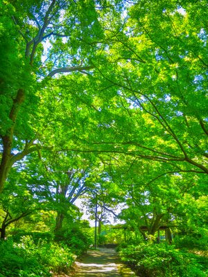  | 絶景事典