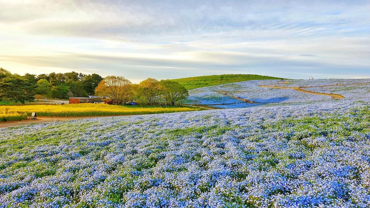 投稿写真：静寂