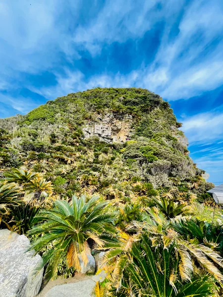 投稿：ソテツの山と岩盤神社