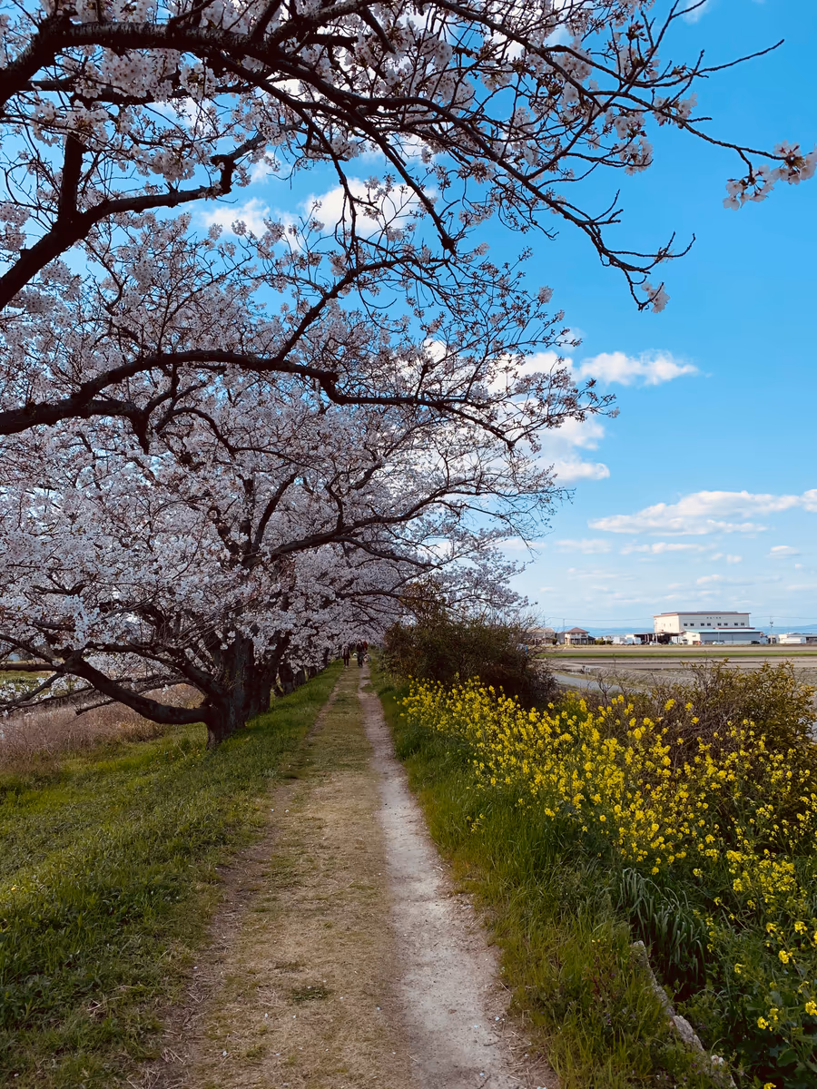 投稿写真：岡山　宮川