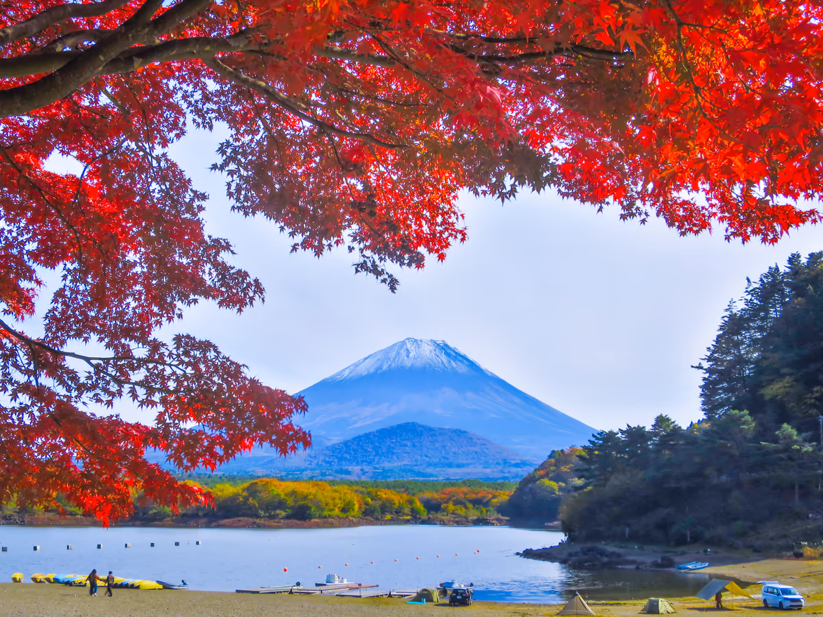 投稿写真：真紅の紅葉と冠雪富士