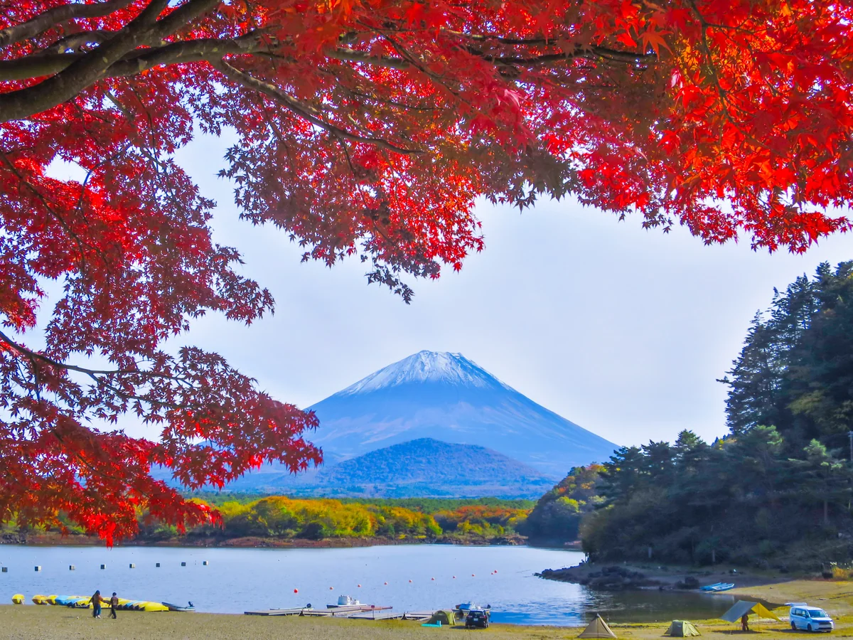 投稿写真：真紅の紅葉と冠雪富士