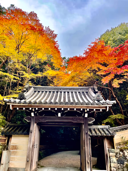 投稿：円照寺紅葉