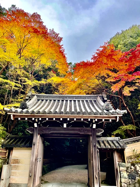 投稿：円照寺紅葉