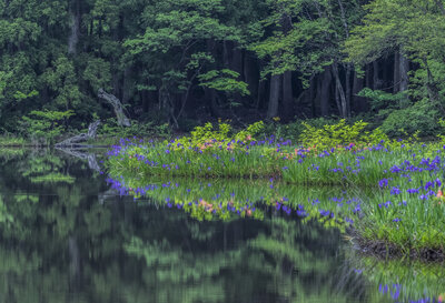  | 絶景事典