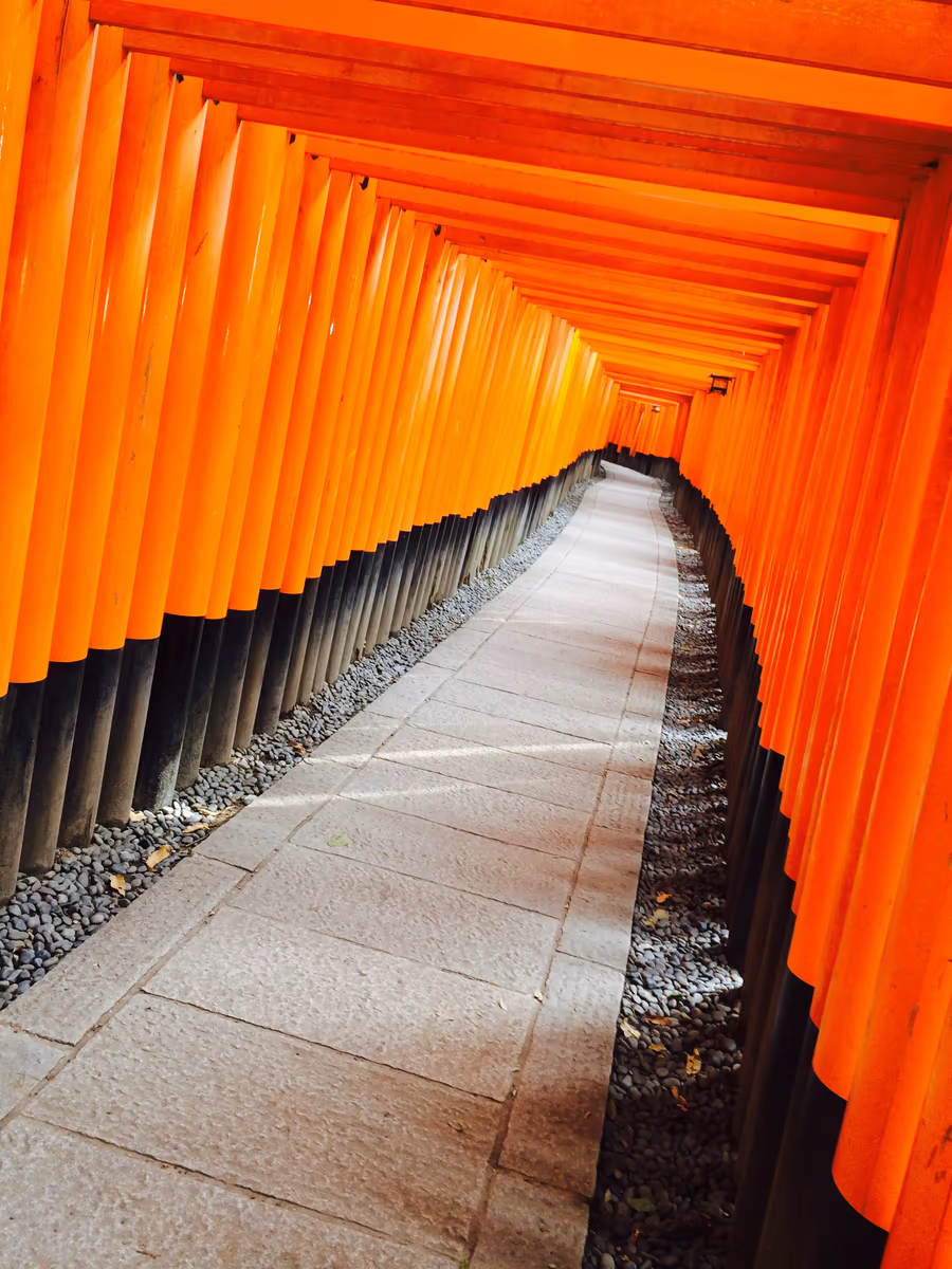 投稿写真：京都 伏見稲荷大社