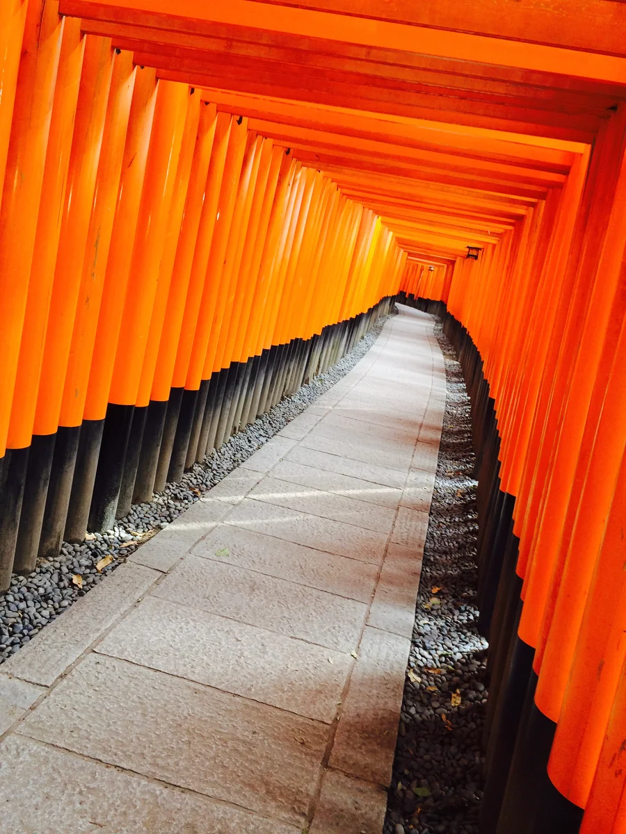 投稿写真：京都 伏見稲荷大社