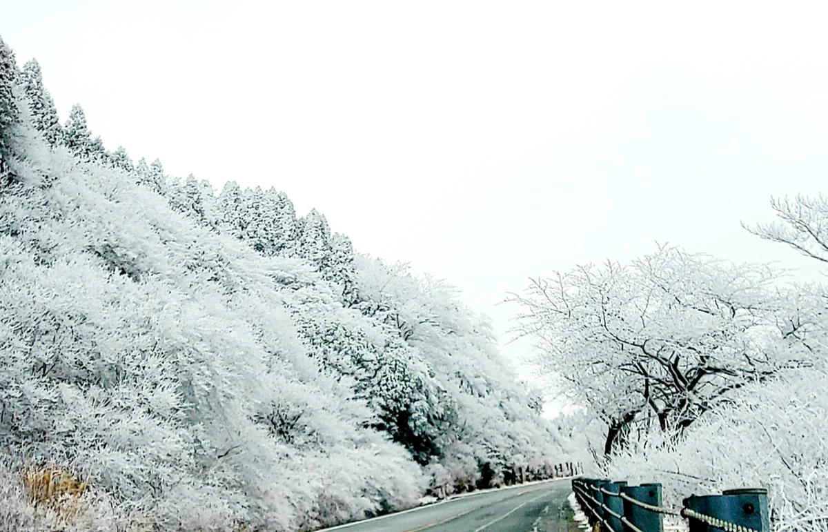 投稿写真：白銀の世界