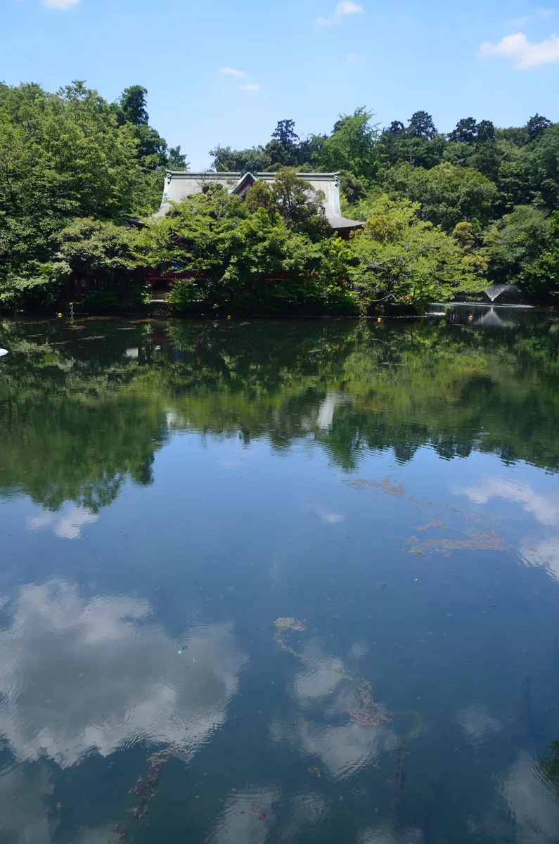 投稿写真：大江戸新百景