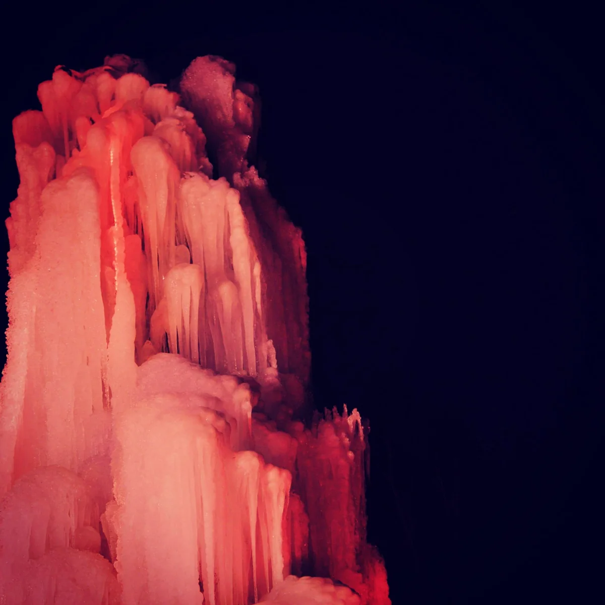 投稿写真：西湖野鳥の森公園の樹氷