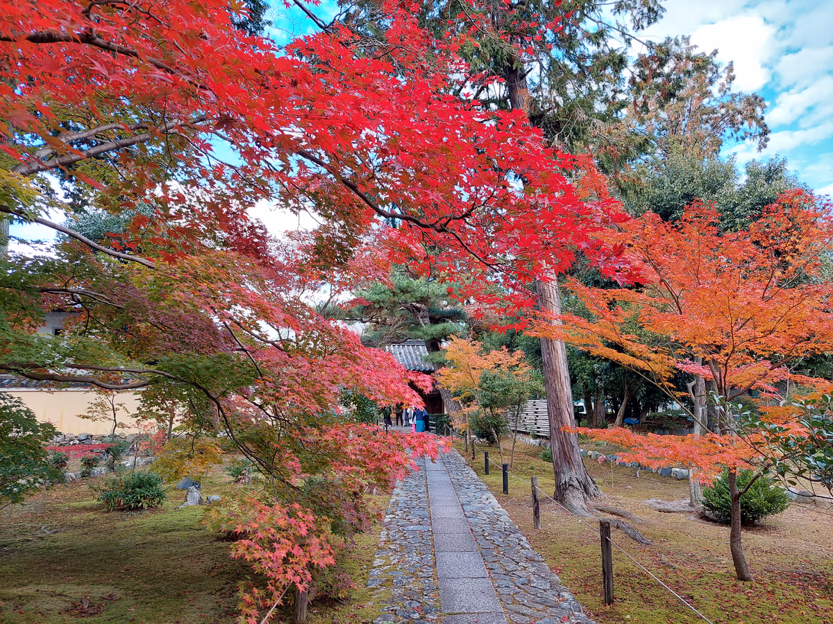 投稿写真：秋の京都　紅葉の小径