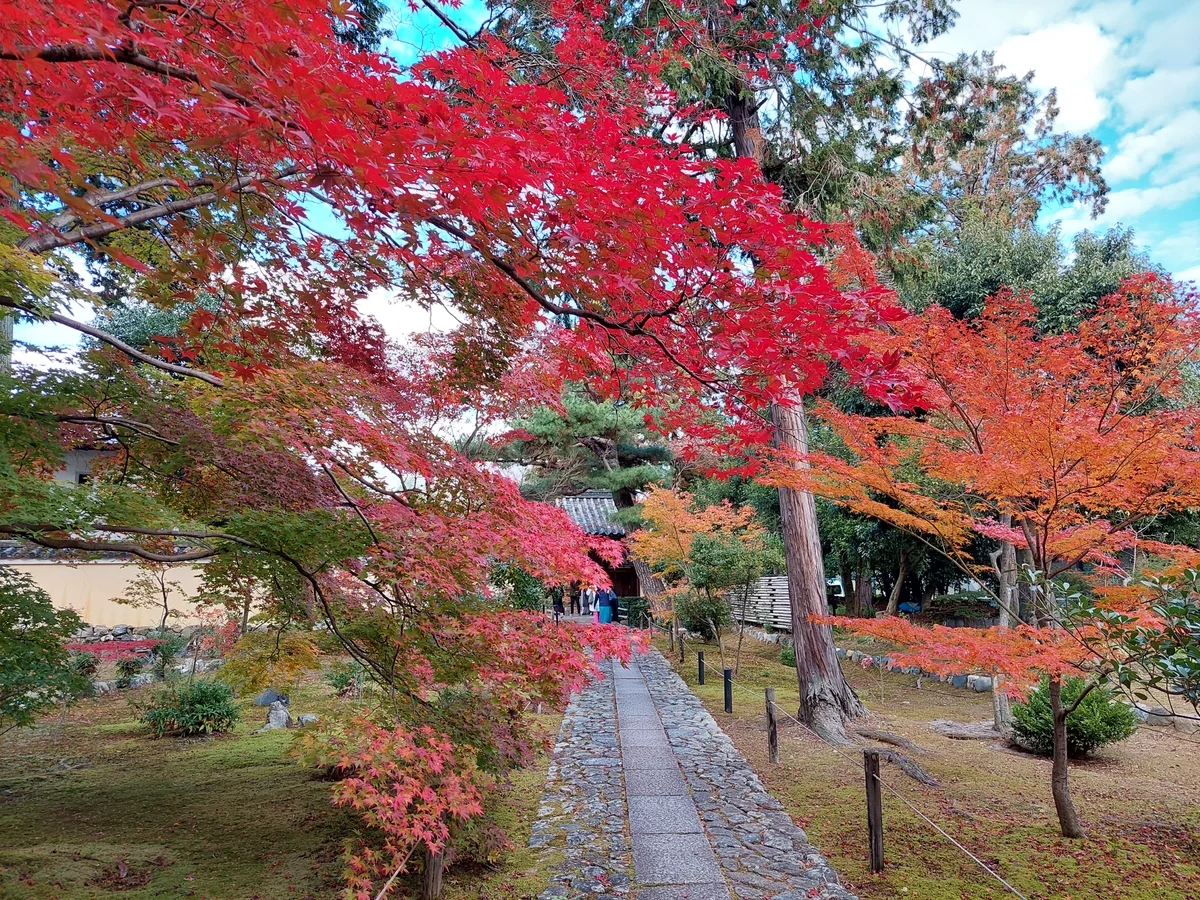 投稿写真：秋の京都　紅葉の小径