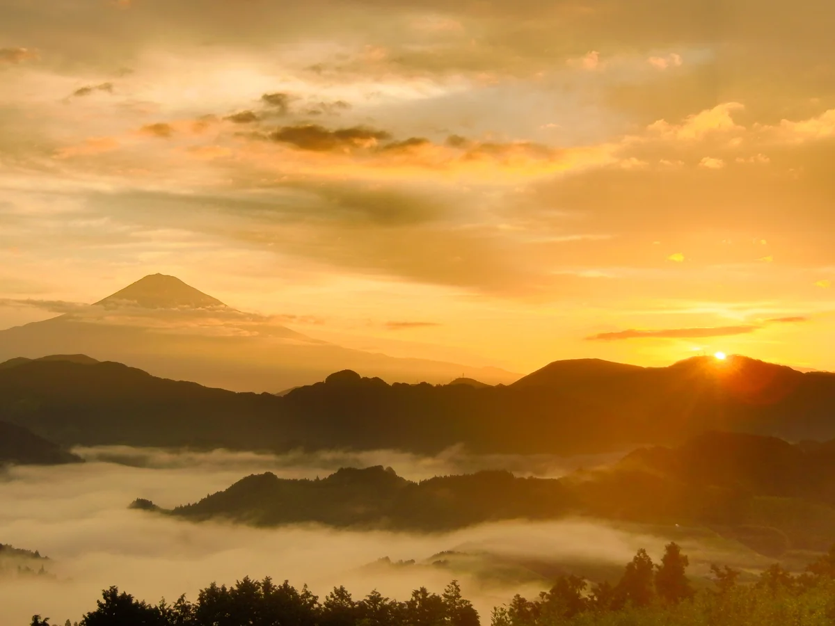 投稿写真：吉原から観た日の出と富士山と雲海