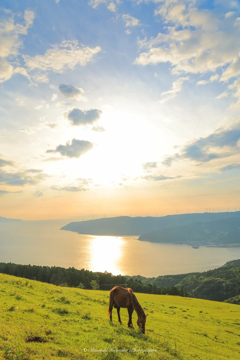 投稿写真：都井の岬