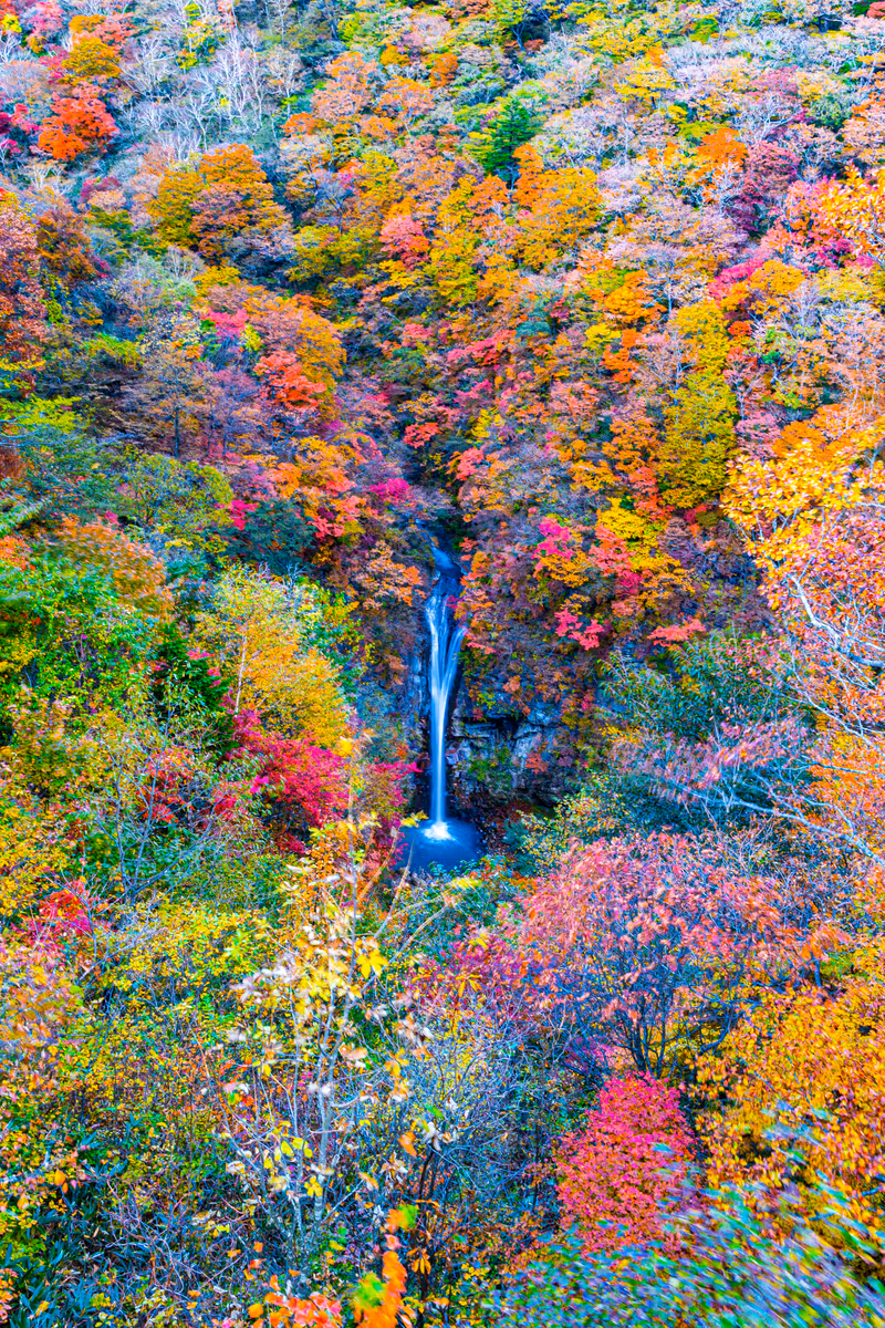投稿写真：紅葉の駒止の滝２