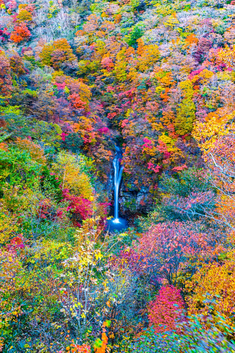 投稿写真：紅葉の駒止の滝２
