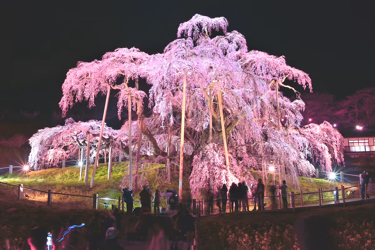 syun ootaさんの投稿写真