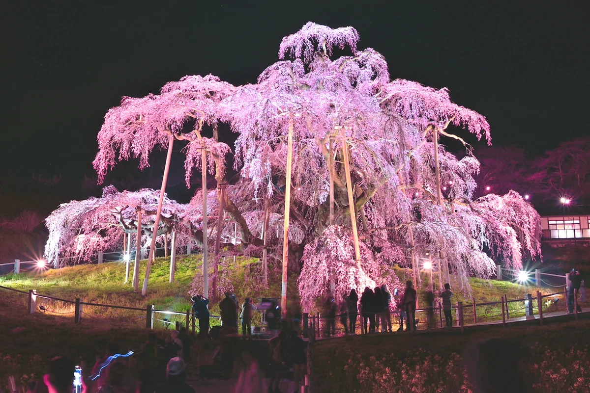 syun ootaさんの投稿写真