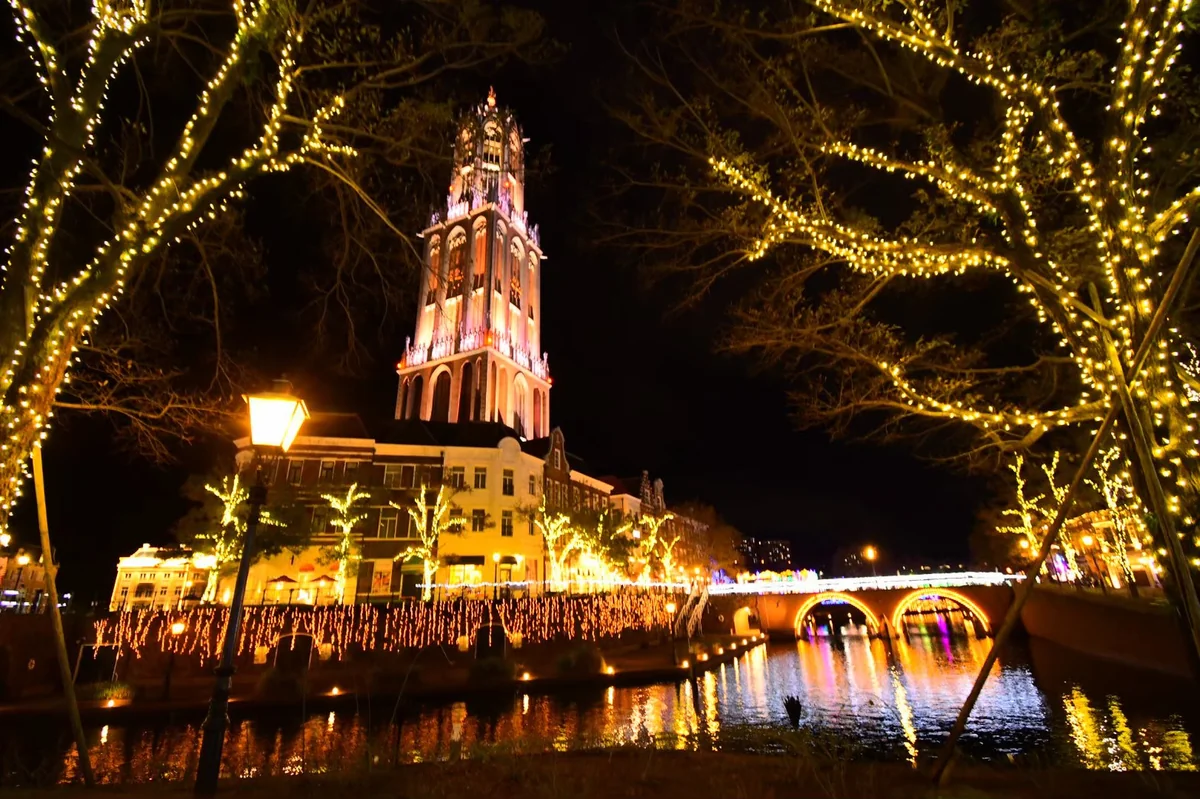 投稿写真：キラキラの世界