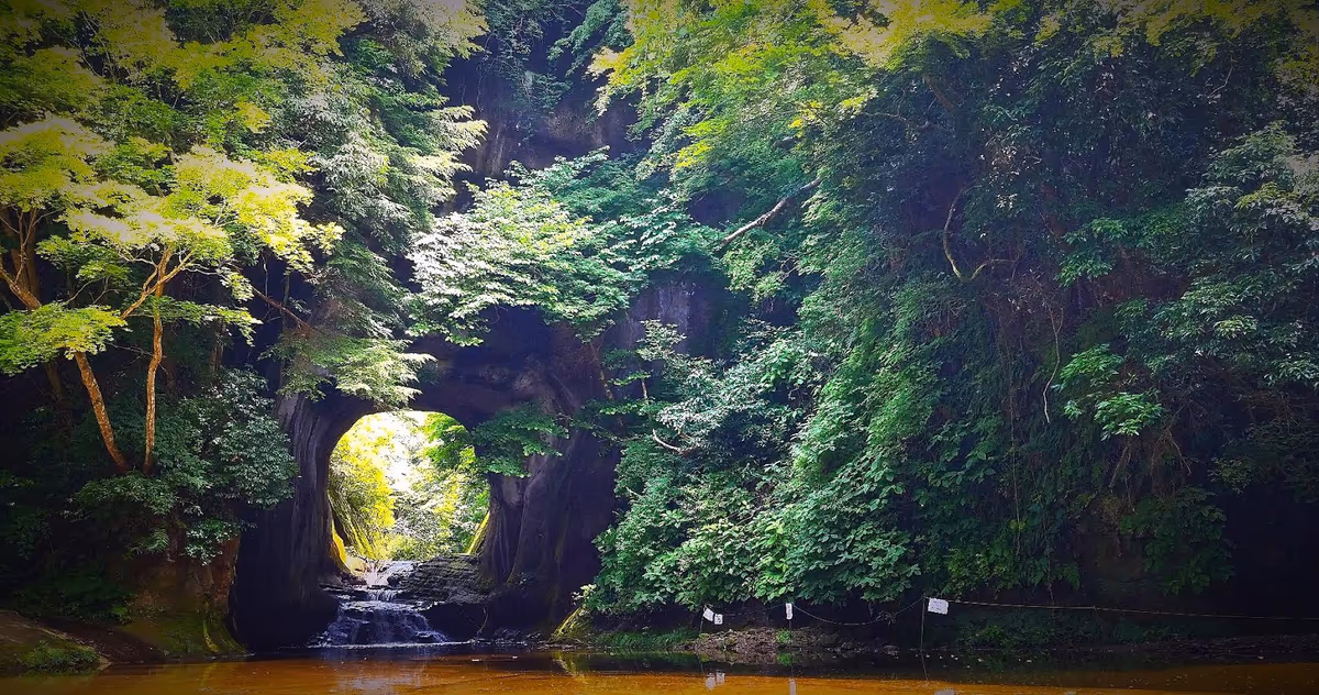 投稿写真：亀岩の洞窟
