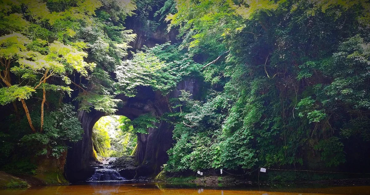 投稿写真：亀岩の洞窟