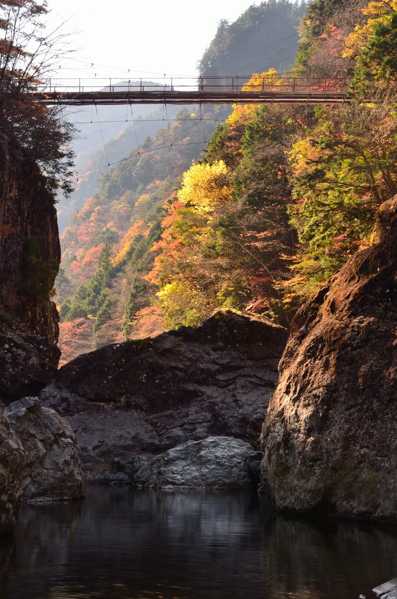 投稿写真：天川村　秋のみたらい渓谷