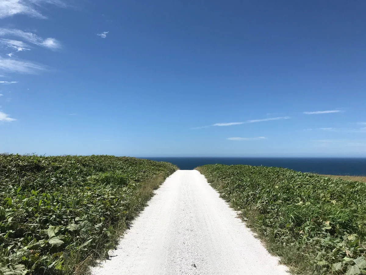 今井雅康さんの投稿写真