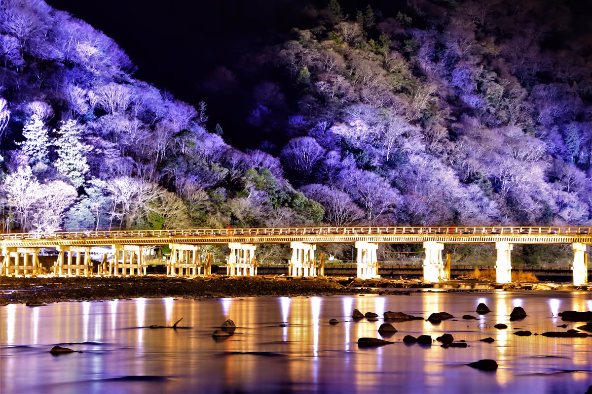 投稿写真：嵐山花灯路でライトアップされた渡月橋