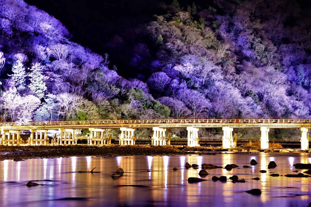 投稿写真：嵐山花灯路でライトアップされた渡月橋