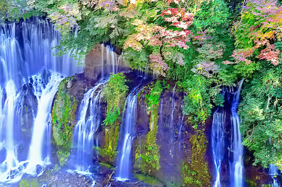 投稿写真：白糸の滝　俯瞰