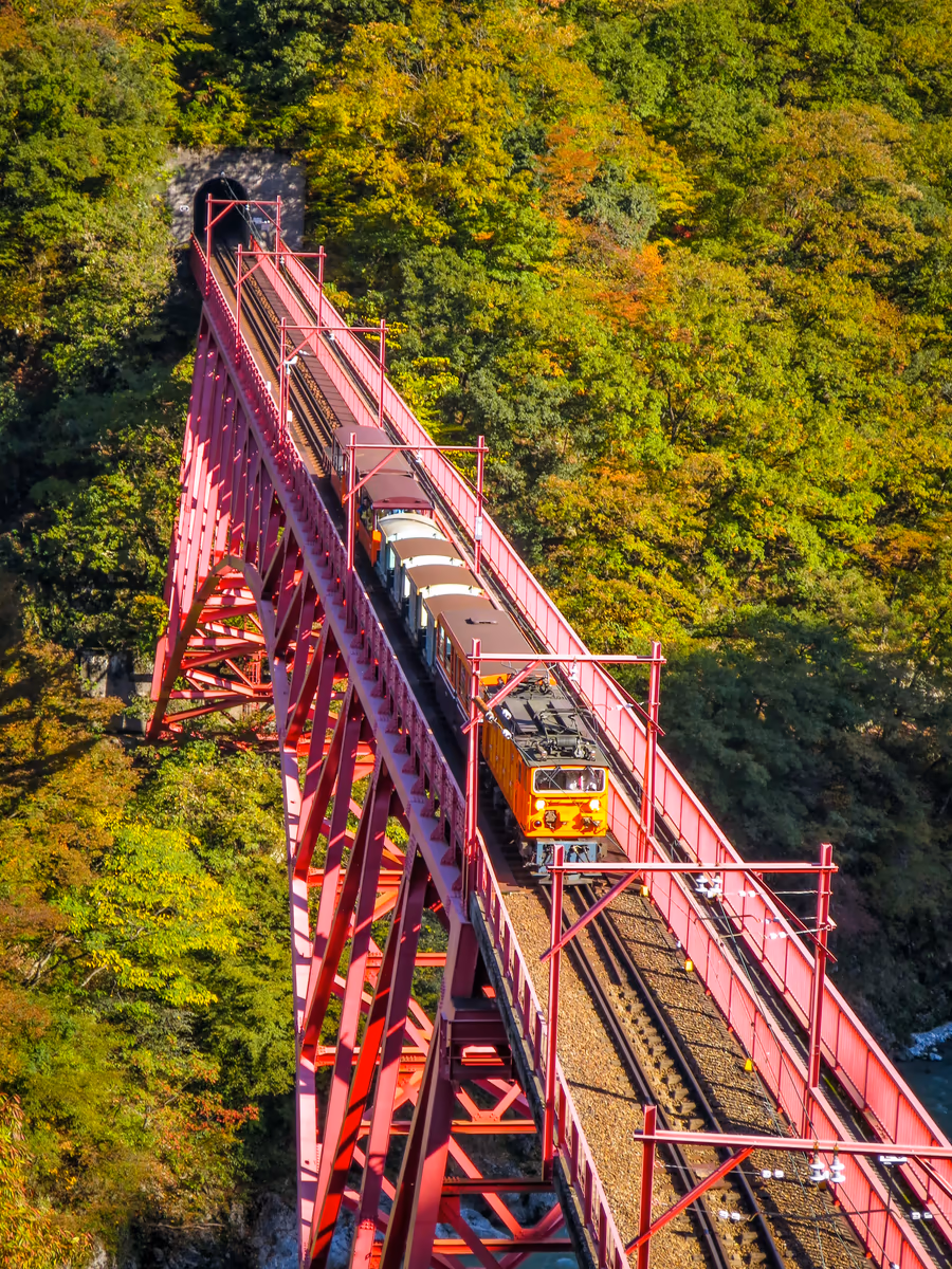 投稿写真：錦繍の黒部峡谷を渡るトロッコ列車