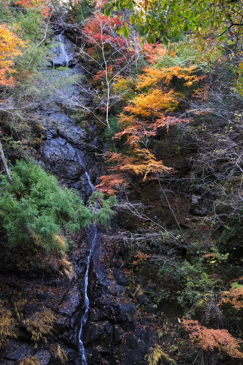 投稿写真：観音滝