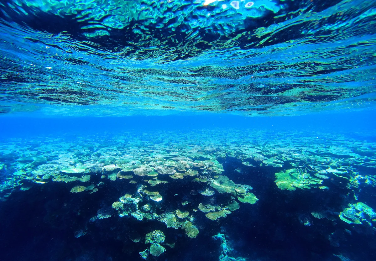 投稿写真：蒼の世界