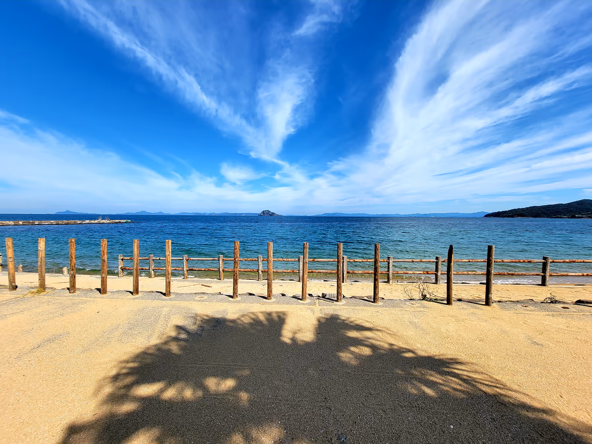 投稿写真：常夏っぽく
