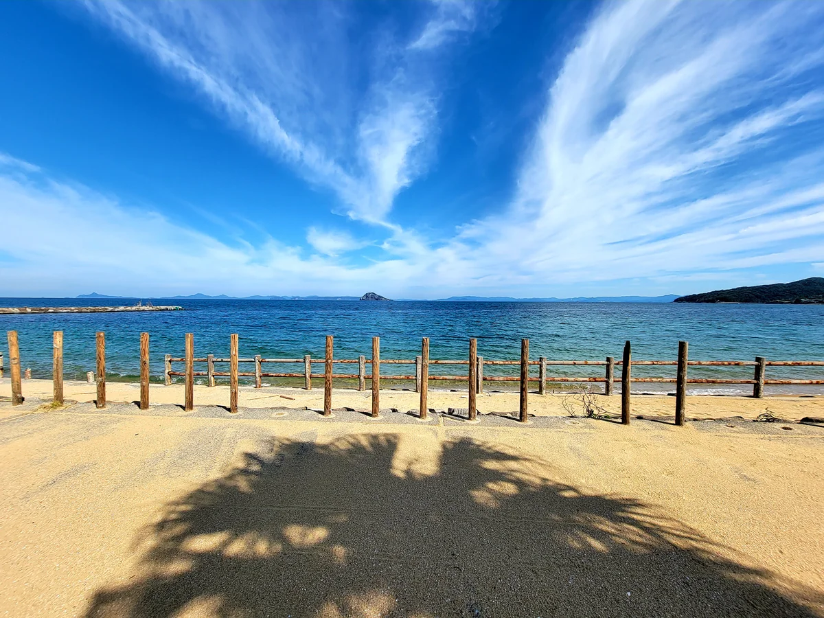 投稿写真：常夏っぽく