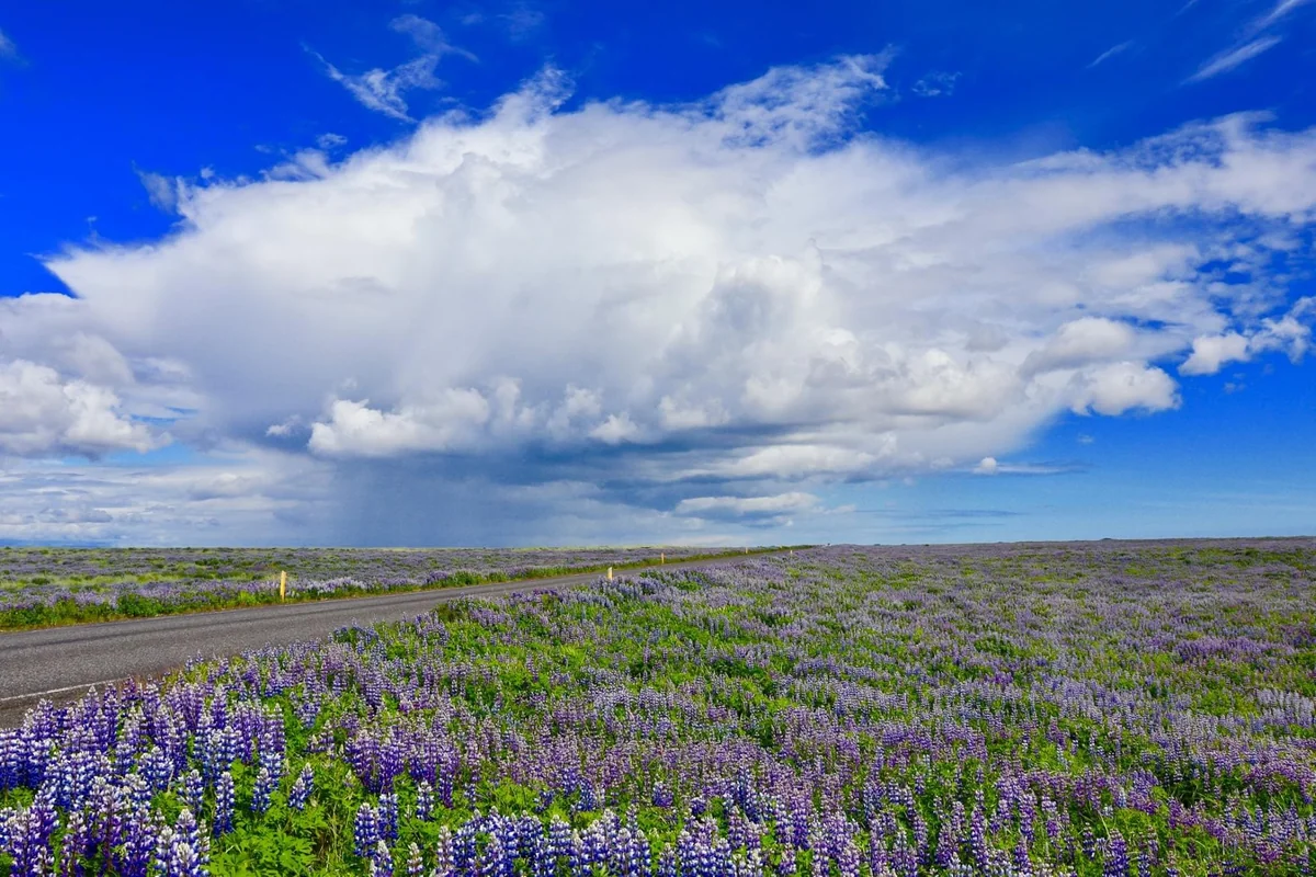 投稿写真：アイスランドの晴れと雨雲