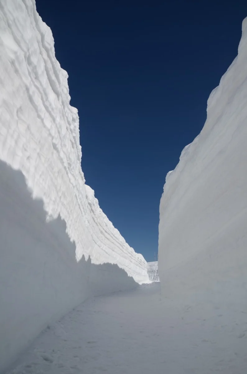 投稿写真：雪の回廊